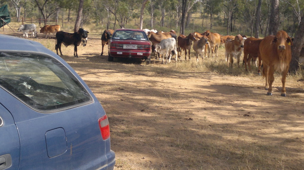 Jeanie's Cleaning 63 Plant Street, Charters Towers, 4820