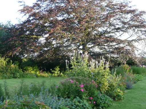 The herbaceous border at Church Farm B & B, Telford