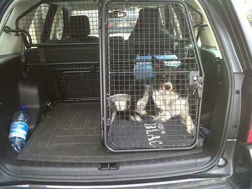 Pet Taxi - safe and comfy transportation of your dog