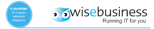 wisebusiness IT support