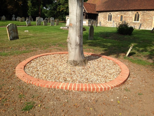 Feature point around tree