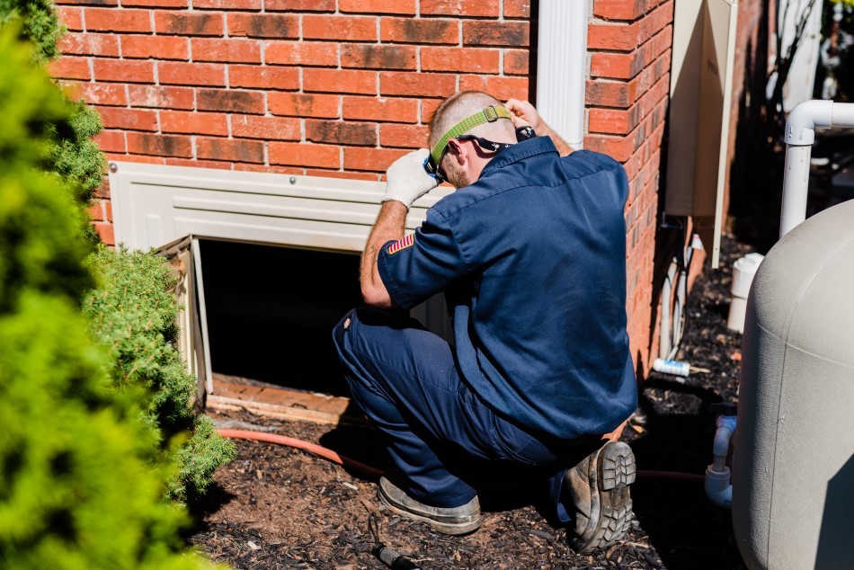 Hired Killers Pest Control 2430 East North Street, Greenville, SC, 29615