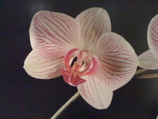 image0