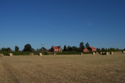 view across the big field