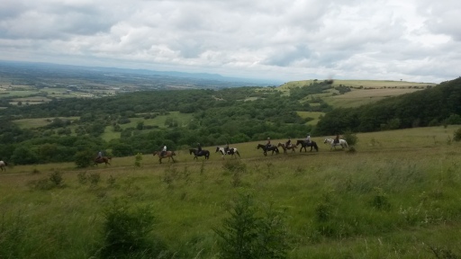 Western Riding Lessons and Trail Rides UK