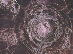 Security Window Films