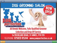 Paw Purrfection- St Annes Dog Grooming