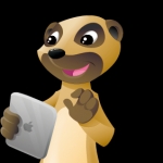 Meerkat Web Design Ltd