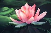Natural Balance Acupuncture Clinic