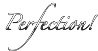 Perfection Photography