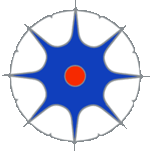 Shoreham Aikido club
