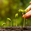 nanoagrotech Logo