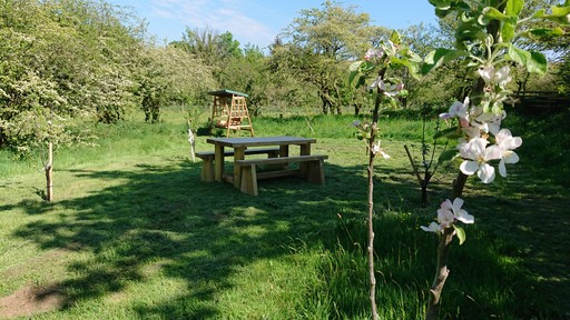 Bring your own picnic