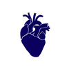 Dr. med.univ. Markus Moser: Kardiologische Privatpraxis - Kardiologe Berlin Logo