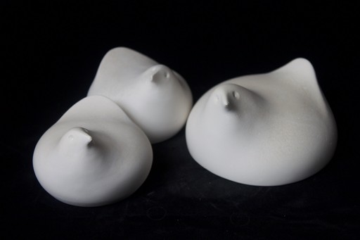 Waterbird Family Ornaments