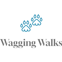 Wagging Walks Since 2012