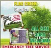Flag Creek Tree Service & Land Clearing