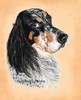 Dog Pastel Portrait