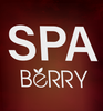 Spa Berry In Pratap Nagar Jalgaon 9892821833 Logo