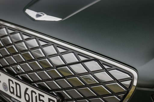 Car Exterior- Logo