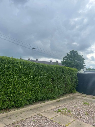 Front Hedge Cut Beautifully in Padiham