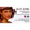 Salon Alenka Logo
