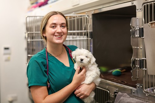 Roebuck Veterinary Group kennels