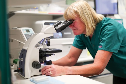 Roebuck Veterinary Group lab testing