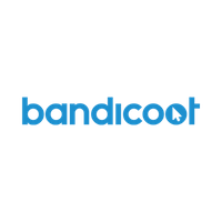 The Bandicoot IT Solutions logo combines modern de