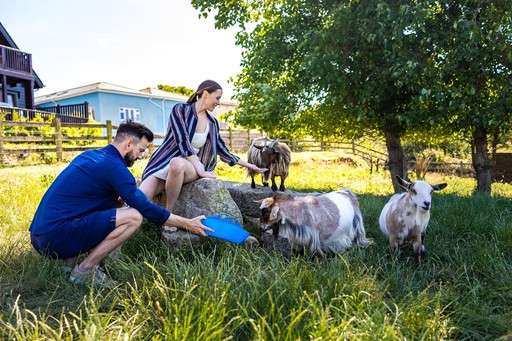 Couple feeding goats at Feadon Wildlife & Education Centre at Gwel an Mor