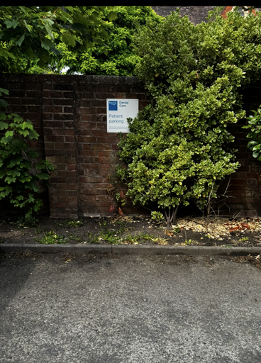 Patient Parking