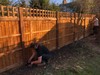 Garden Fencing Installer - GreenFellas