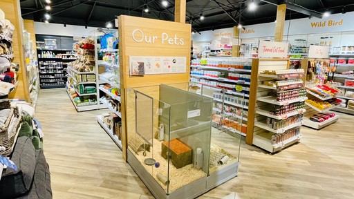 Pets Corner Brighton Interior