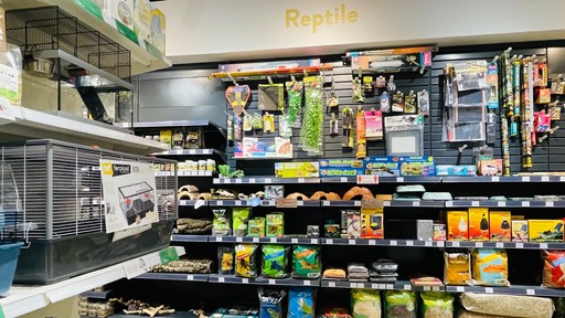 Pets Corner Brighton Interior