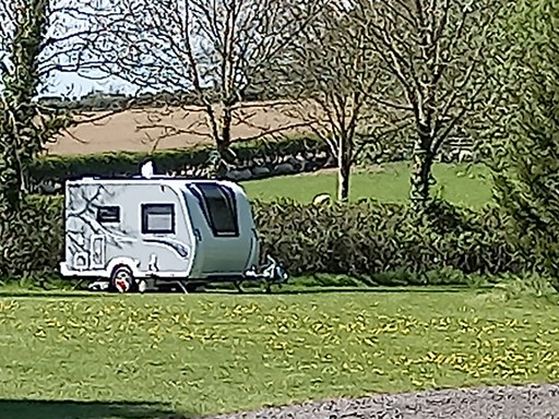 caravan - grass electric pitch