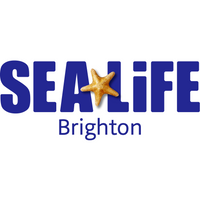 SEA LIFE Brighton