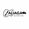Aliaga Luthier Custom Shop
