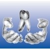 W.M.F.- Dental GmbH & Co.KG Logo