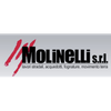 Molinelli