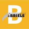 Stukadoorsbedrijf Briels Logo