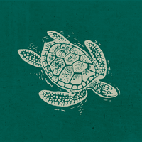 Turtle Bay Winchester