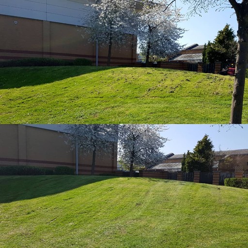 Landscape Maintenance