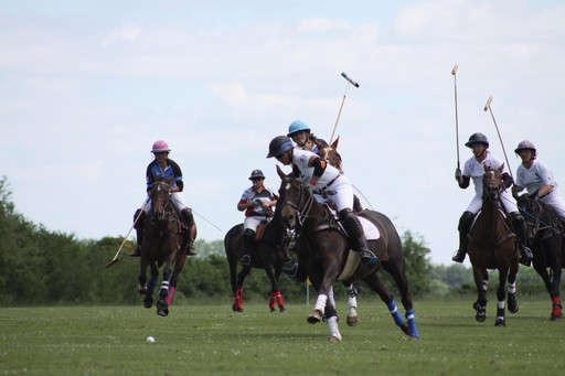 Corporate Polo Event Suppliers