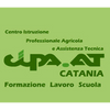 C.I.P.A.-A.T. Centro Istruzione Professionale Agricola e Assistenza Tecnica Logo
