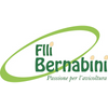 Bernabini Group Logo