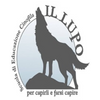 Il Lupo Scuola di Educazione Cinofila