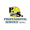 Professional Service Logo