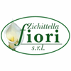 Zichittella Fiori Logo