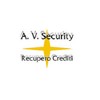 A.V. Security Logo