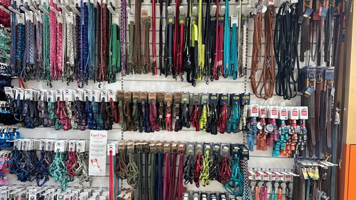 Pets Corner Peterborough Interior